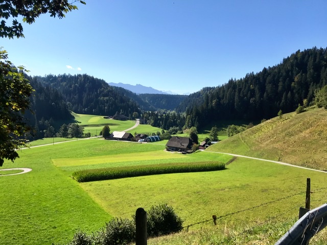 2596088E-4F77-4CCA-9FC0-20C9291D537D