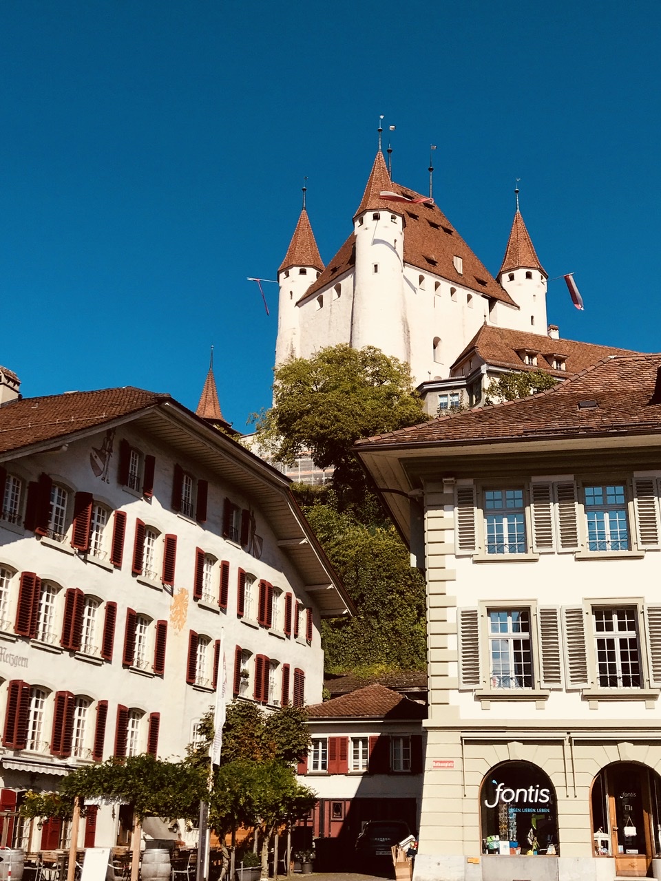 B87FB5ED-5C0B-4525-B374-4C2880437702