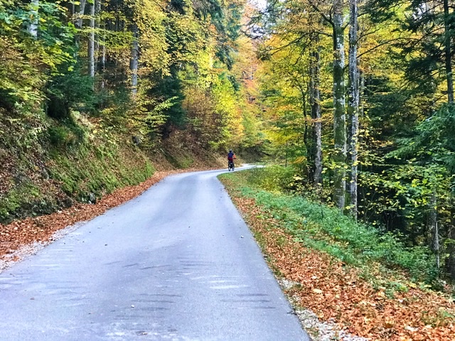 1721C869-80DC-4F10-9E61-8A3C481BF2DD