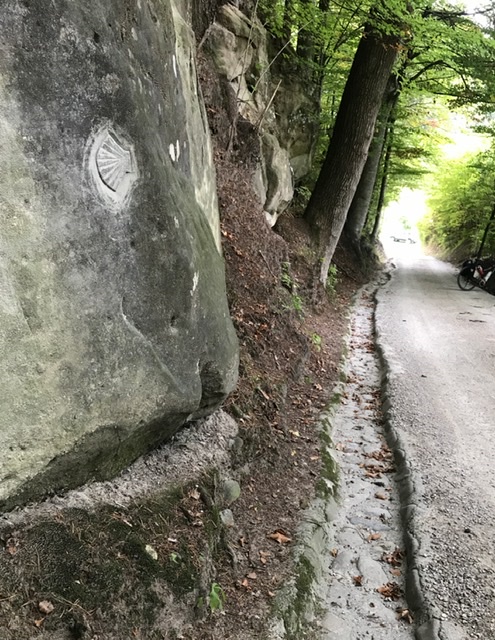 CB729819-B585-4716-9495-6720F8B1AD86