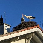 Route 5: Section 5 – cycling Solothurn to Ins, Switzerland