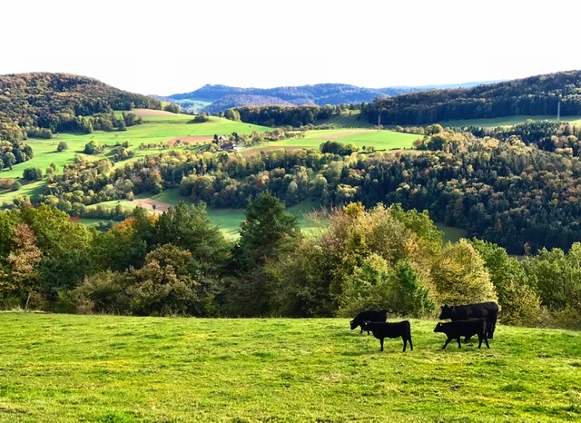 0789C99B-D8E2-41DC-85EF-65DDC74CE098