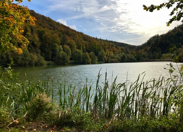 60F6B1B5-CC92-4E7E-8F2A-607524D7A1BB