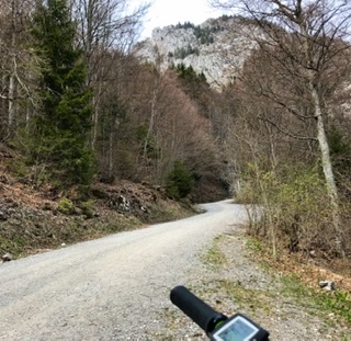 07D7856D-CD66-4D29-8C4F-E7E195D6F628