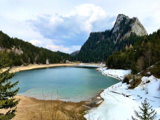 8D2E3F5E-7391-4E89-B093-8476F68768E9