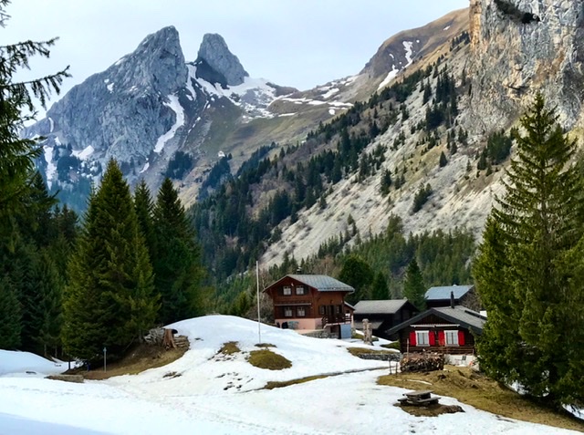 E43E686A-1922-4478-8393-3418F23D3611