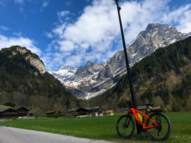 E79C8F23-051F-4C90-AAF2-A94676C30375