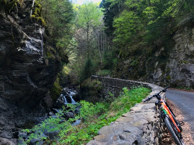 F1F88899-9753-4E73-994C-CA819AD9A553