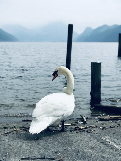 53AD7625-1065-4167-B84F-8FC846AE1941