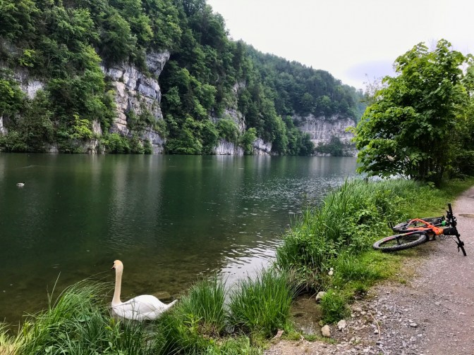 7F19AE68-0D68-433C-9217-370EE9C0AC10