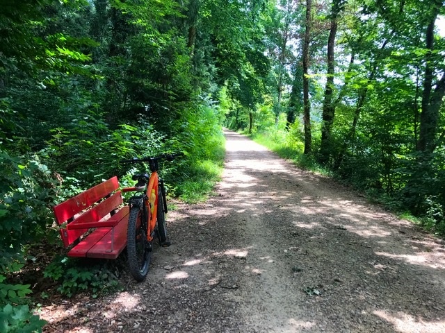 38E38481-5018-468B-A3F8-E52A64A22C4C