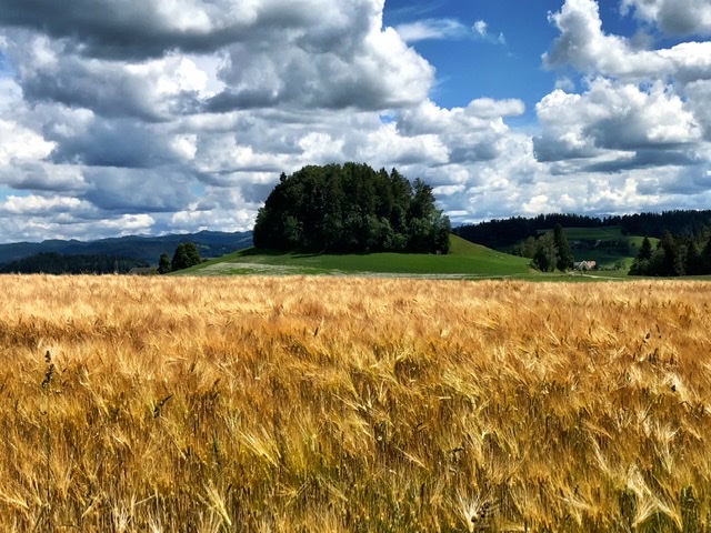 A3008A13-26EE-47E3-9304-8422DF182CA6