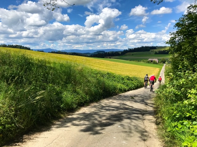 ABA9990A-D5B2-462E-BAE5-F528F1486C19