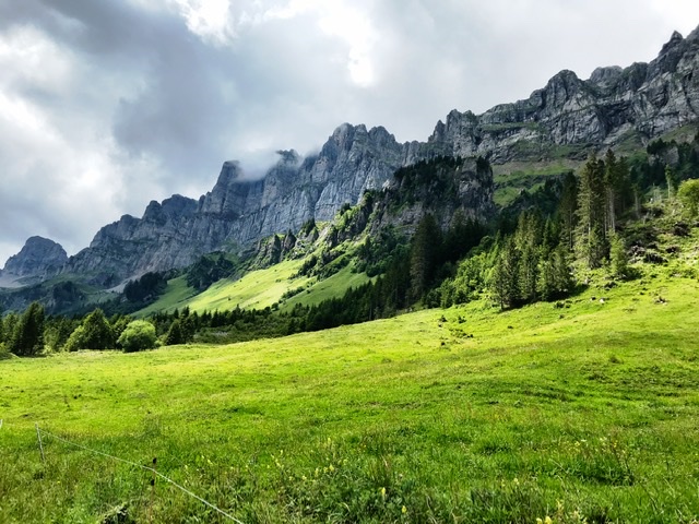 D1706811-3374-4780-8A86-1396C7EACC75