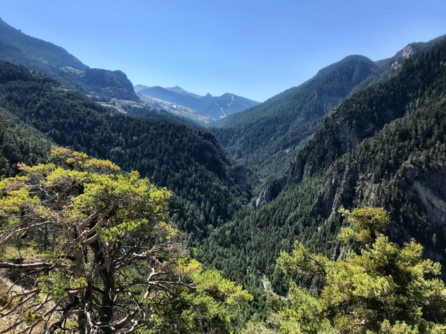 AAC5DB4F-5305-4B83-8F49-1D585077EA3E