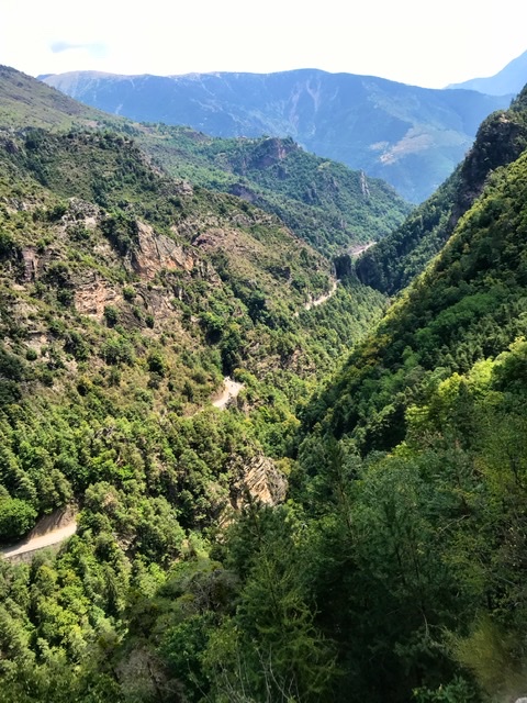 E139B4C4-2ACA-4016-BF9C-BE5B5D5B8DB9