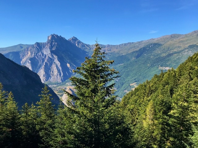 FEF63606-67E5-49BC-9B21-46D1F2868C9A