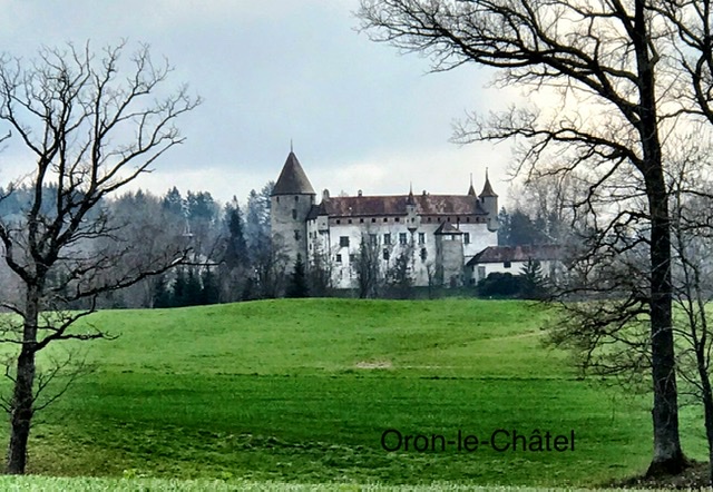 24E53ED2-2A93-4841-BE98-8E5D587766D9