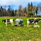 Route 62: Section 4 – Cycling Romont to Chatel St. Denis, Switzerland