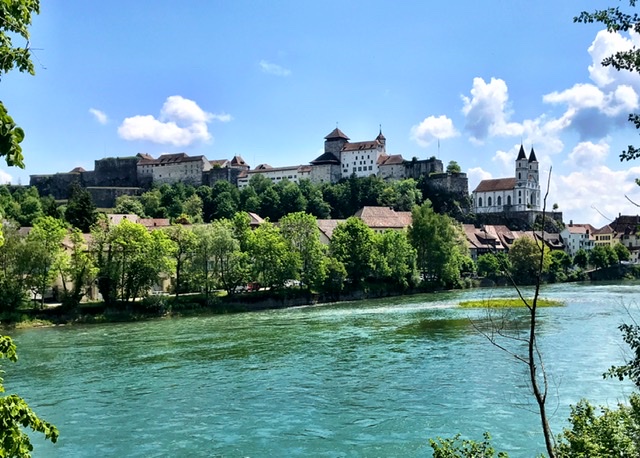 0E2A8947-0294-4C70-B102-683CA4DD9F22