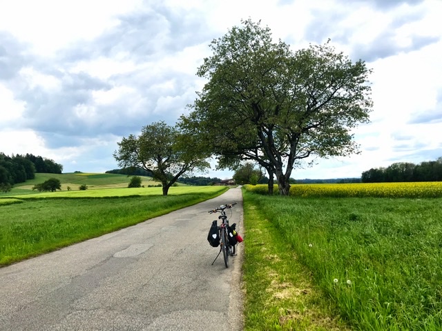 91F065F1-0D58-4BF7-AC40-0EE2AD46A03D