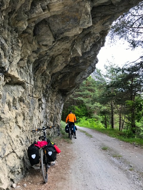 9E0C6E39-EE74-487B-80FD-058621AB86DD