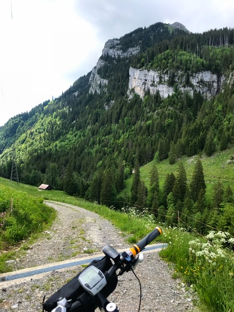 00BF38CC-1E77-4AB8-9EAD-0D1E716DA289