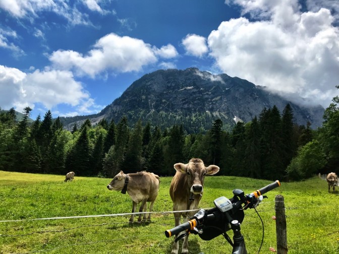 092586EB-0556-4257-8678-660B782E4546