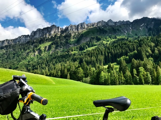 10231A63-AFF8-41FE-9936-DC1C13DC9ACA