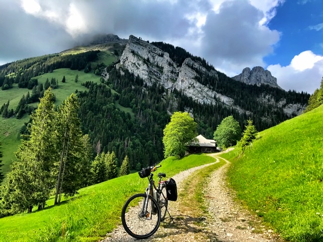 3299ED6B-E8A7-459E-98D7-BD1D0B33A5FD