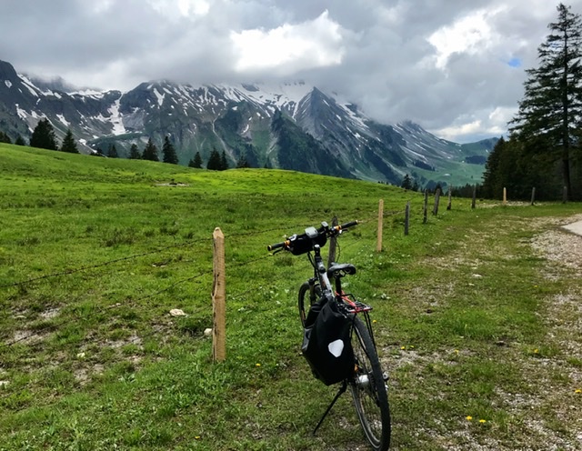 4245CE9D-50FB-4783-8421-34C4D57FDDEE