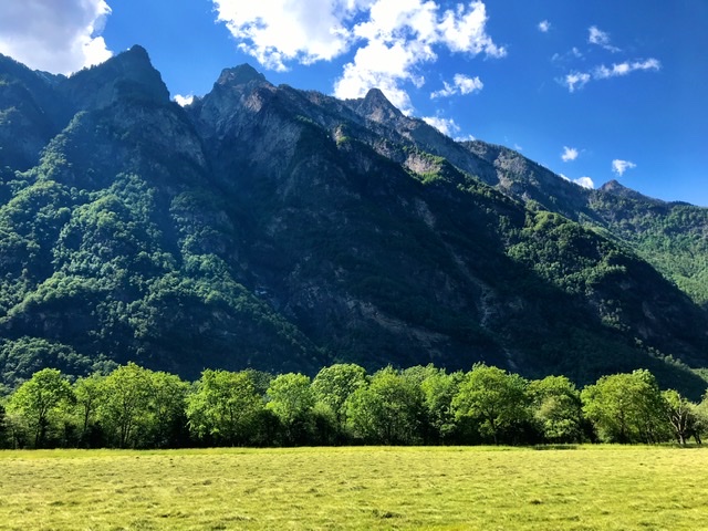 54CF351C-2ED2-4888-98CF-184CE23E232A