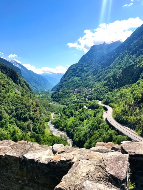 8DD7511F-75EE-4DCD-8195-403CD243DD8E