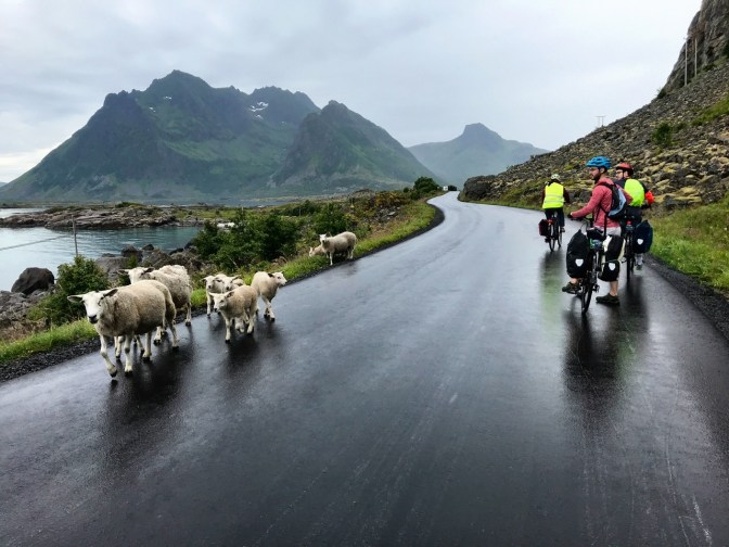 9D9F57CE-C6BB-4081-AA33-9C099D1175E8