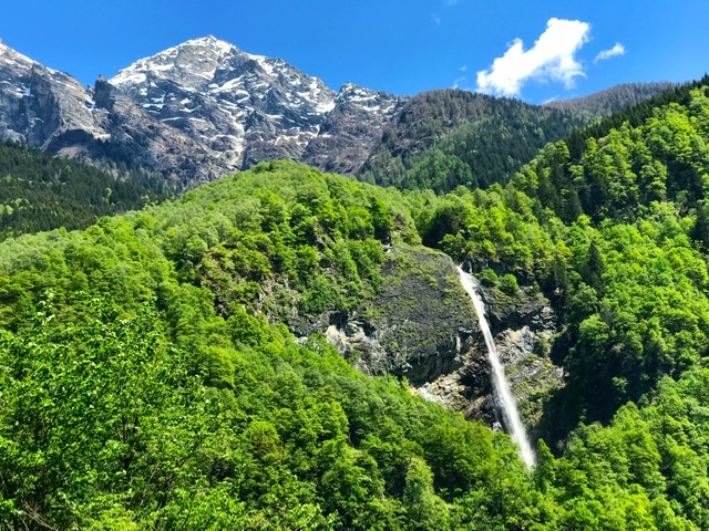 B64B220D-0695-40B9-9FF8-D434044992EA