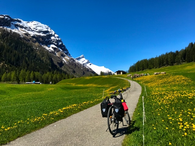 C2AB41AA-7739-465B-A567-2CAE60CF90CD